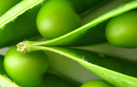 Fresh food, personal chef service, villa catering, Algarve, Portugal.